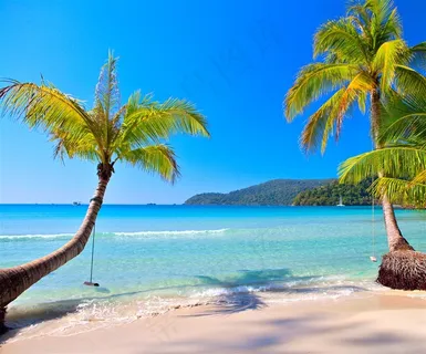 大海边的海滩 大海边的海滩