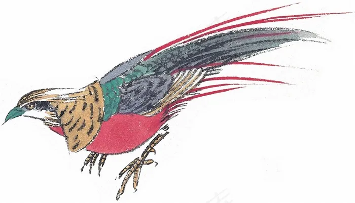 画鸟系列摄影图片