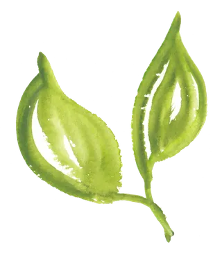 唯美森系手绘水彩花朵 免抠