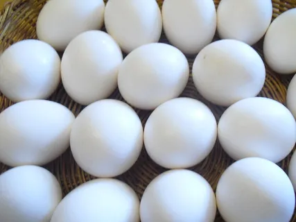 鸡蛋鸭蛋菜市场农村牧场鸡