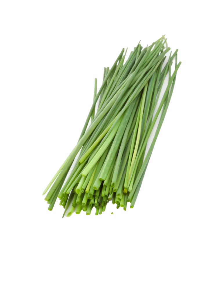 香葱 (2)超市商品白底图免抠实物摄影png格式图片透明底