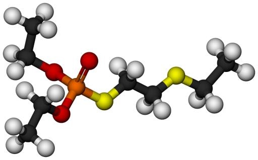 分子 PNG免抠(1100x685)