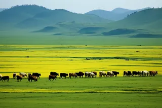 草原上的牛羊远山摄影图