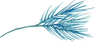 冬季圣诞节花卉果花圈植物免抠海报PNG素材