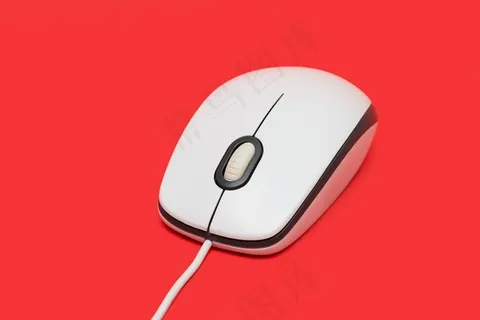 白色鼠标图片 白色鼠标图片