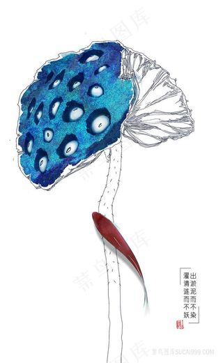 游鱼莲花插画