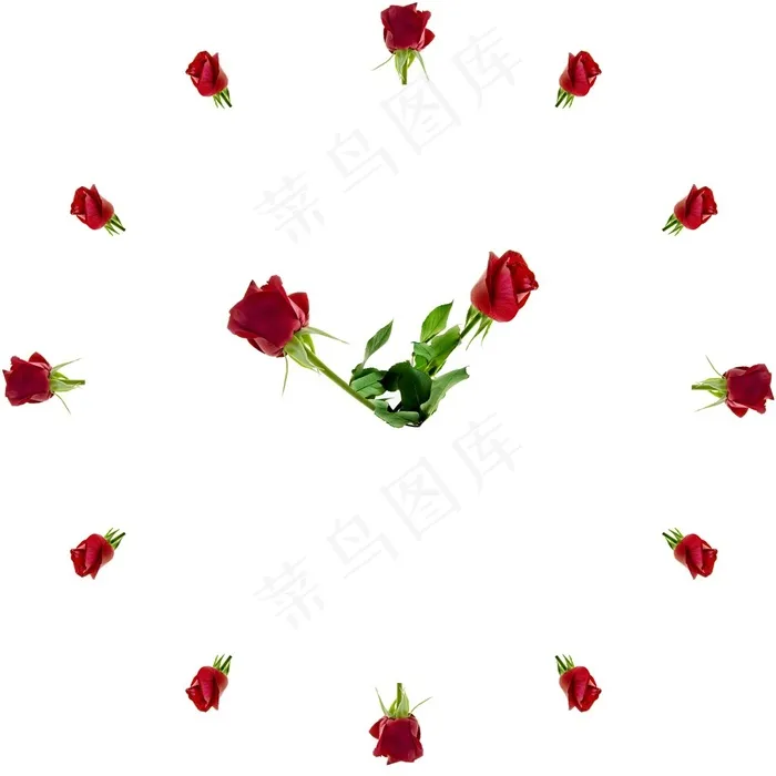 名牌手表女式图片素材