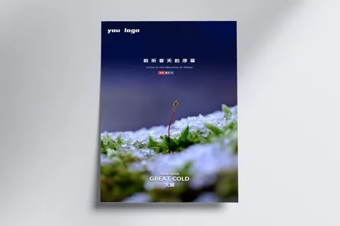 大寒节气宣传海报PSD