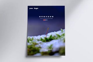 大寒节气宣传海报PSD