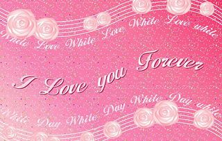 图片设计素材背景2.14情人节