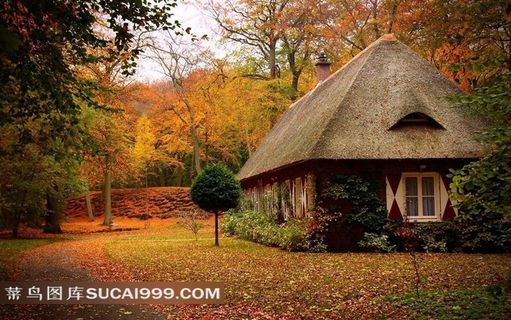 秋天风光风景图片