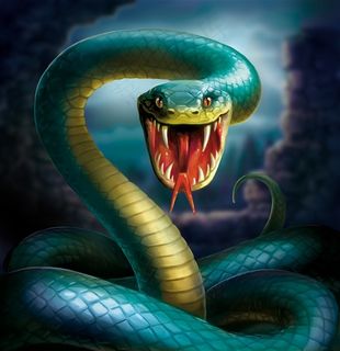 张开嘴吐出信子的青蛇高清图片