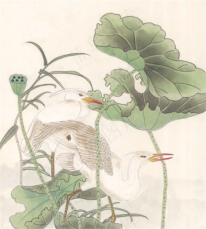 国画富贵鸟高清美图素材