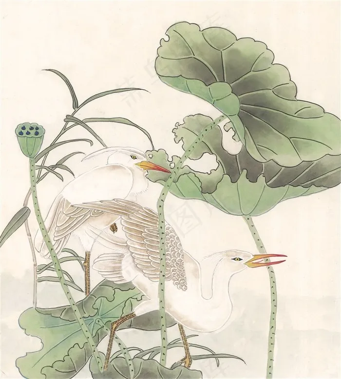 国画富贵鸟高清美图素材