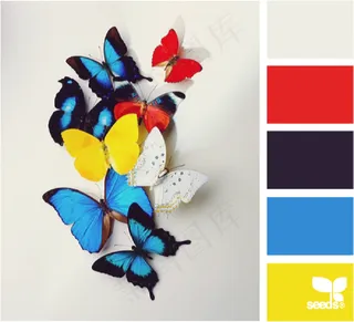 动物配色色卡色彩搭配