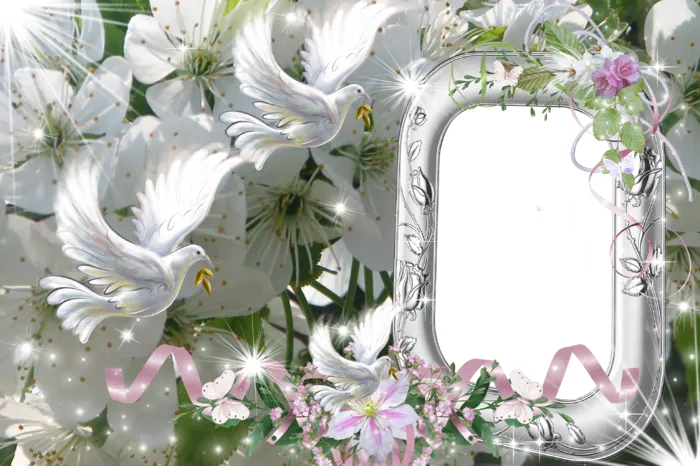 花纹相框素材图片下载