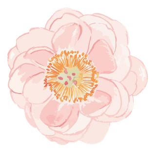 唯美森系手绘水彩花朵 免抠