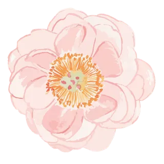 唯美森系手绘水彩花朵 免抠