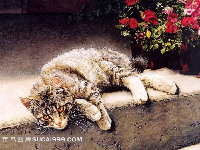 懒懒爬在*上的小猫