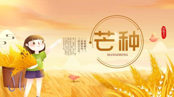 芒种 芒种营销活动