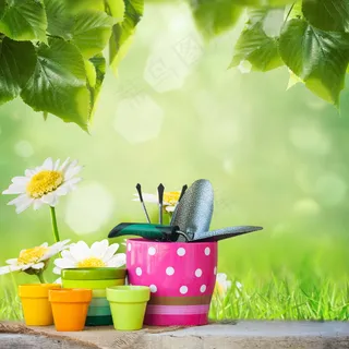 花园花卉园艺工具图片