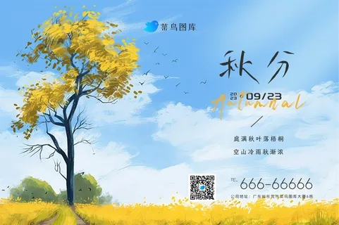 秋分清新天空田园秋叶简约节气banner