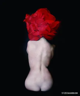 红色花瓣美女裸背装饰画