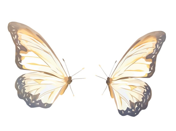 蝴蝶插画黄色元素