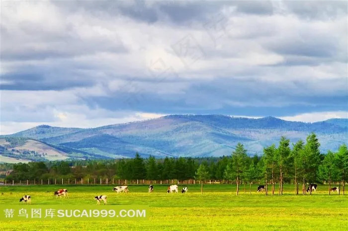 唯美广阔草原图片