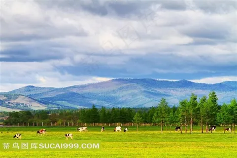 唯美广阔草原图片