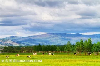 唯美广阔草原图片