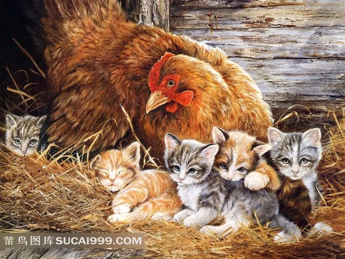 母鸡小猫插画素材