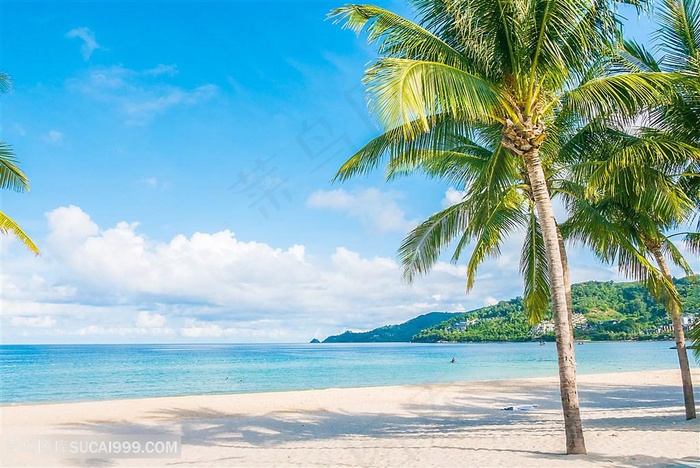 海边沙滩棕榈树蓝天白云碧海蓝天大海海边风景