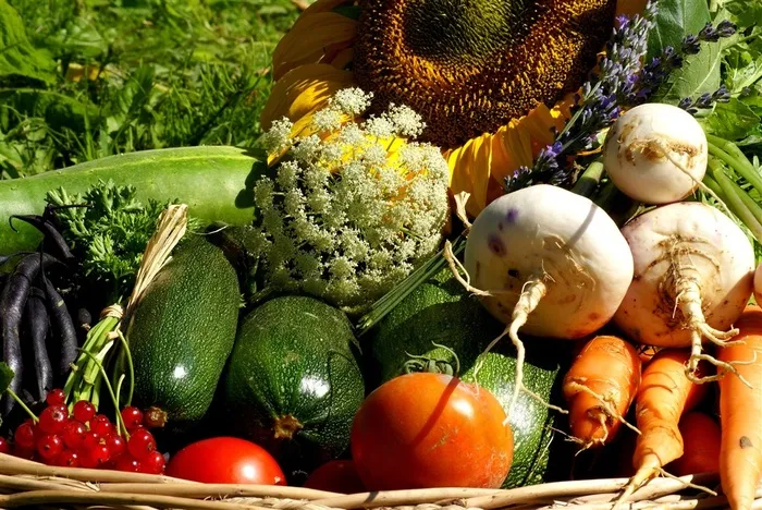 农业相关主题高清图片