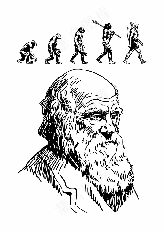 人类进化史cdr矢量模版下载