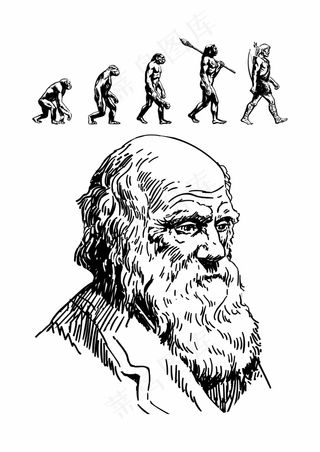 人类进化史