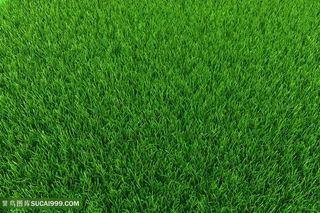 时尚绿色草地背景高清图片