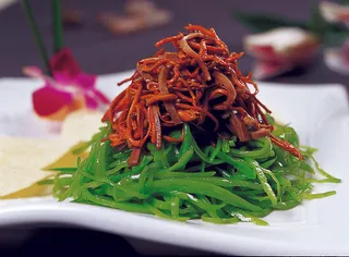 0911LCH-219虫草花漫口条