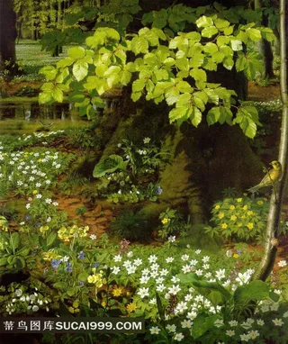外国森林间野花静物传世经典油画图片