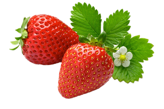 草莓 (10)水果超市商品白底图免抠实物摄影png格式图片透明底