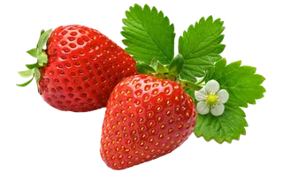 草莓 (10)水果超市商品白底图免抠实物摄影png格式图片透明底