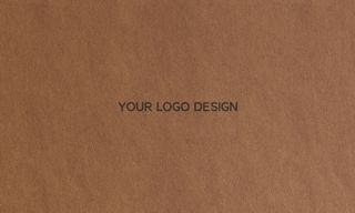 LOGO样机展示效果