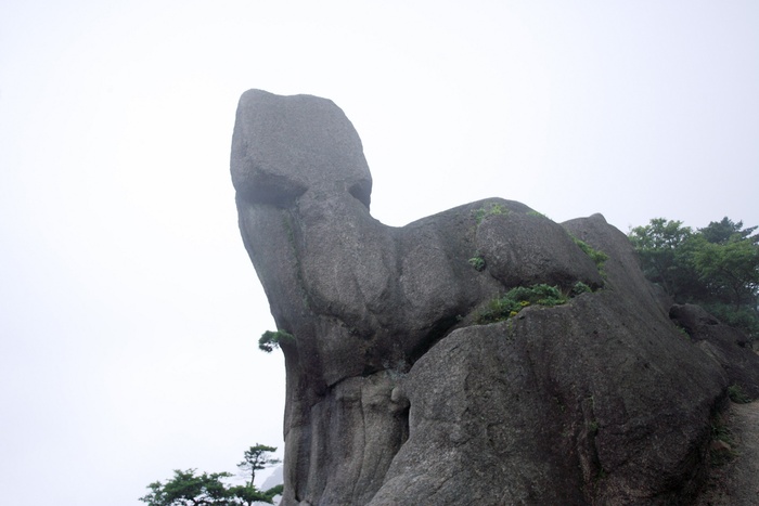 安徽黄山风景图片-第84张