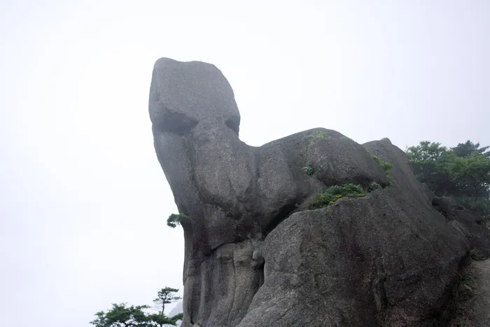 安徽黄山风景图片-第84张