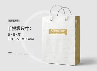 商务宣传6手提袋包装盒