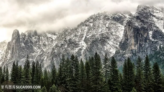雪山树林美景风景画壁纸