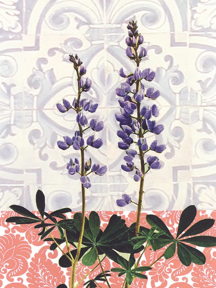 唯美蓝色花卉植物插画