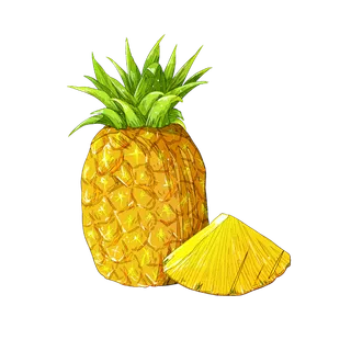 菠萝凤梨夏季小暑