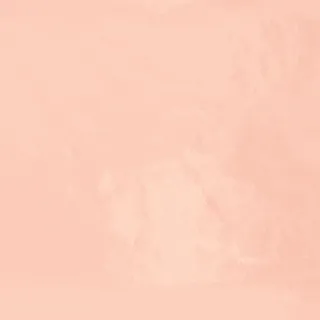 唯美素雅女性高端印花底纹背景ins风