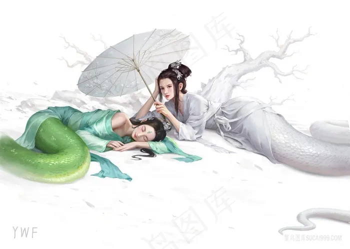青蛇白蛇美女妖精白蛇传小青和白素贞漫画图